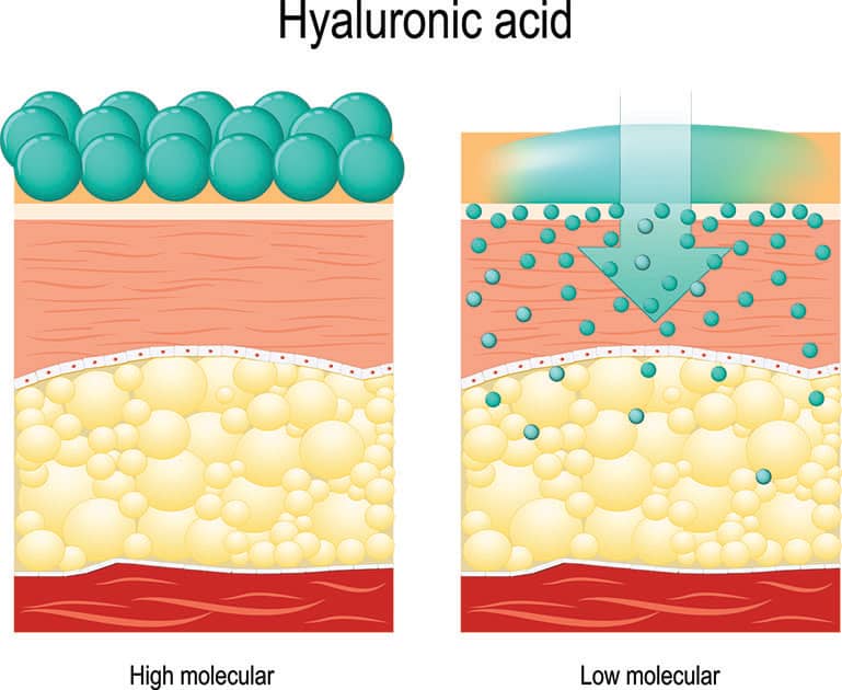 illustration of hyaluronic acid 