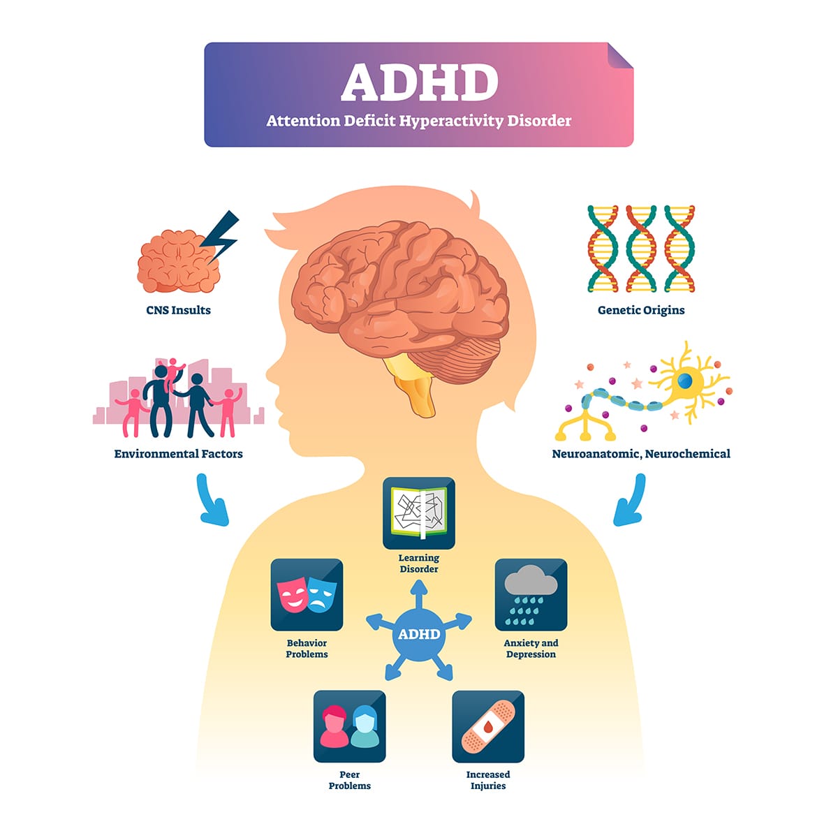 diagram of causes and effects of adhd