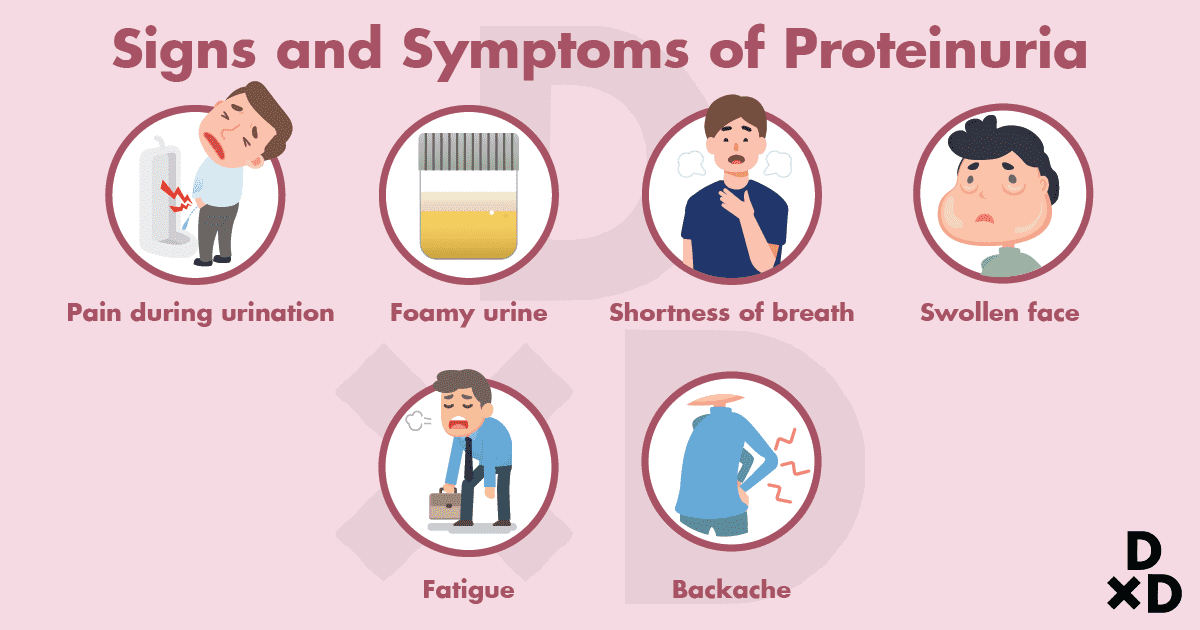 symptoms-proteinuria