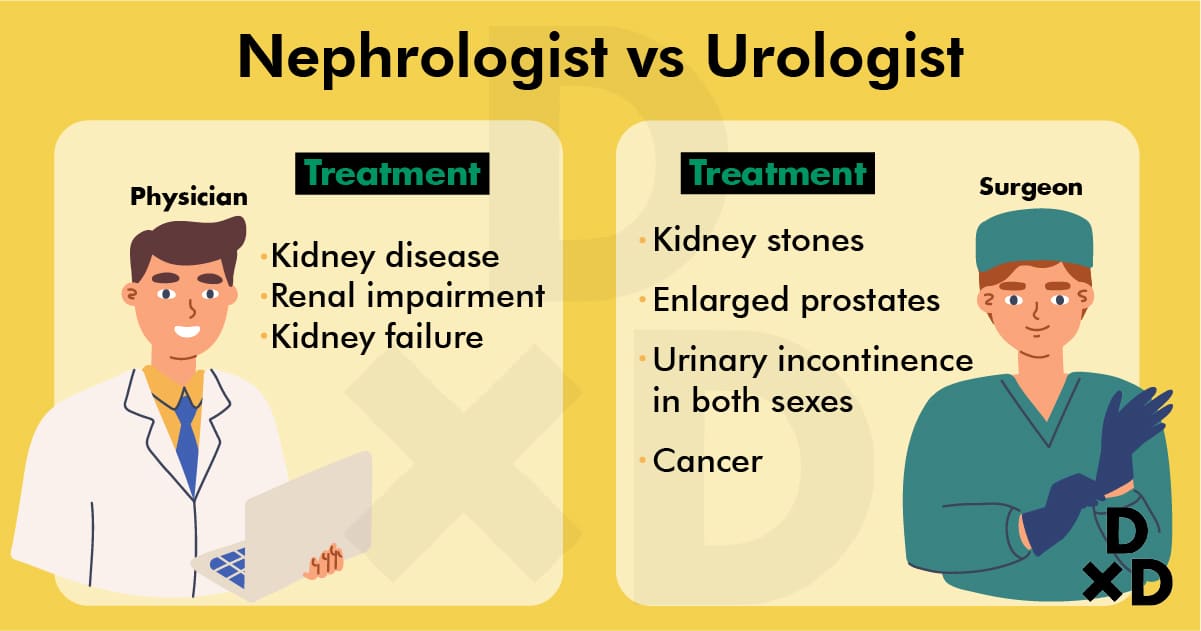 nephrologist-vs-urologist