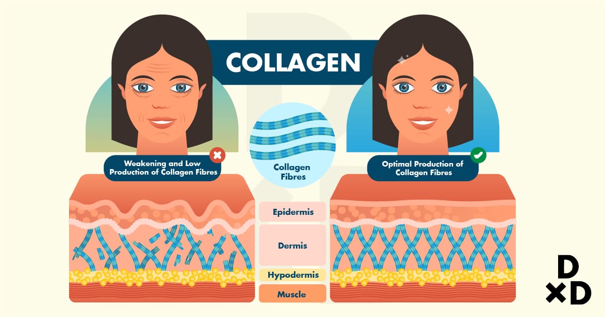 collagen