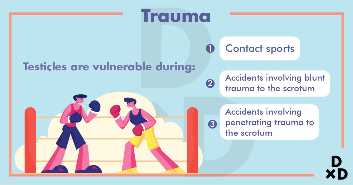 trauma-testicular-pain-causes