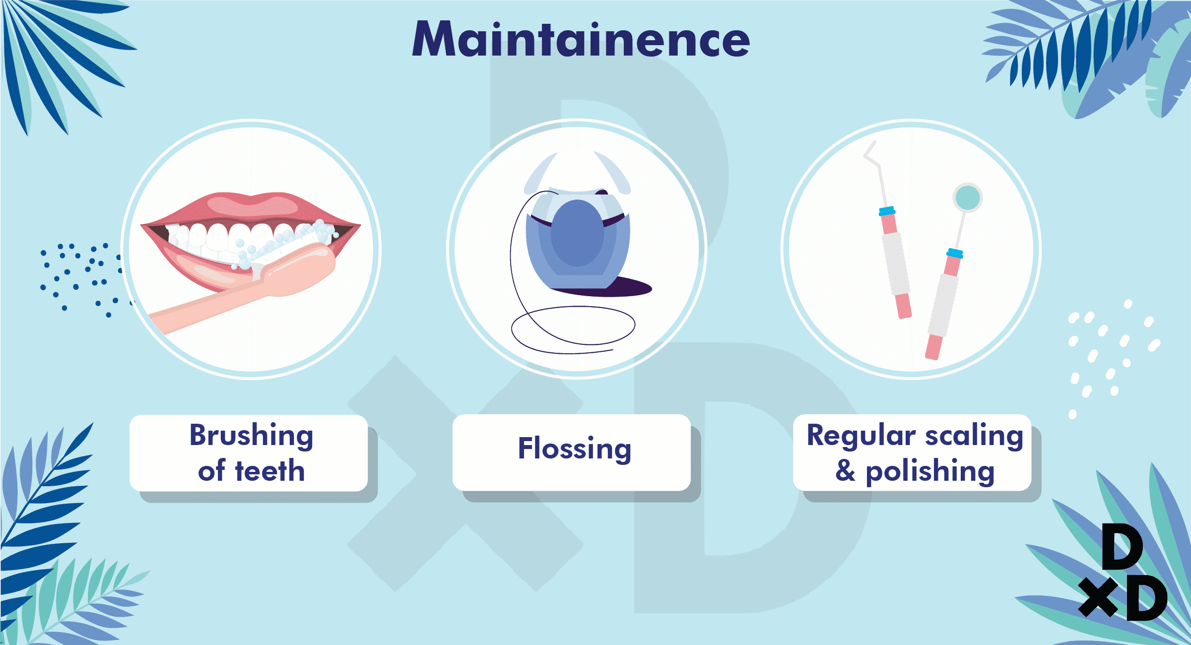 maintainence-dental-veneers