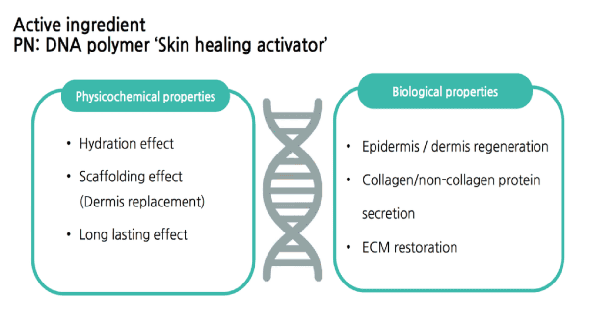 DNA-polymer-active-ingredient