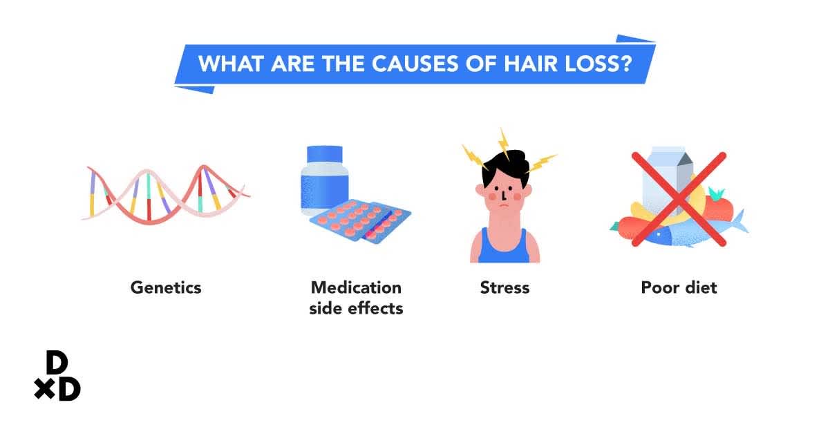 What are the causes of hair loss?