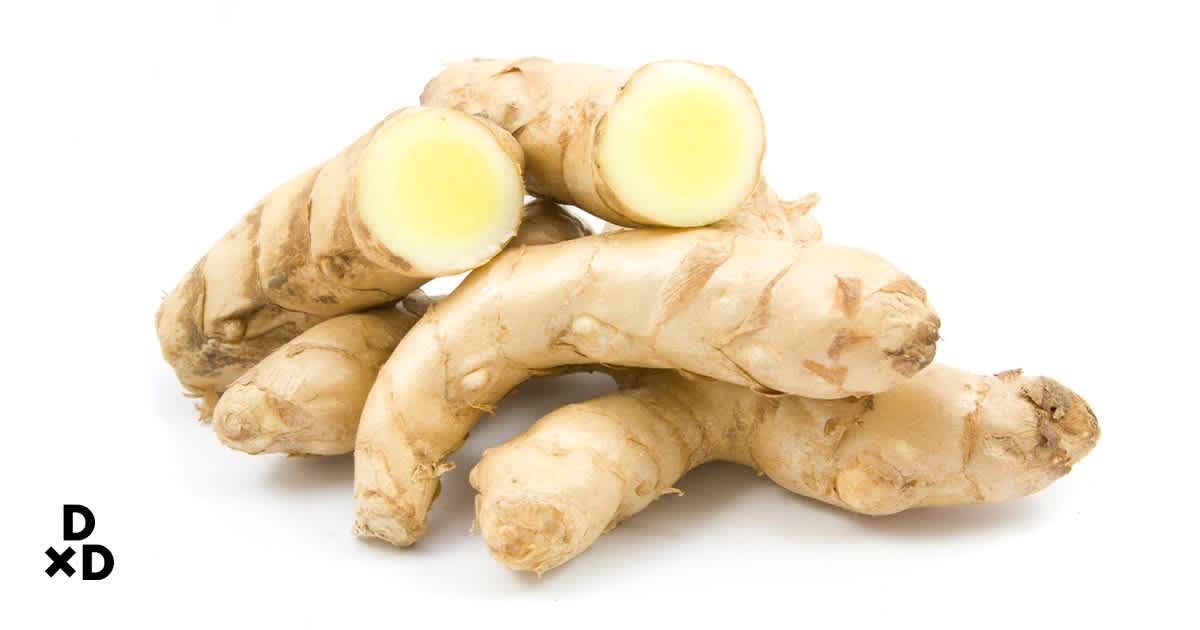 Japanese White Turmeric picture