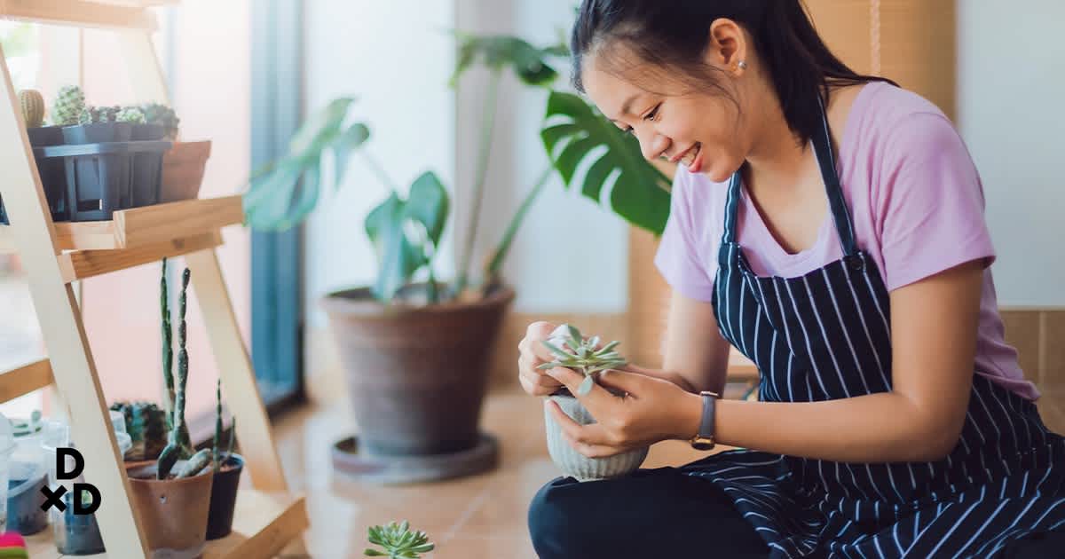 Woman holding indoor plant