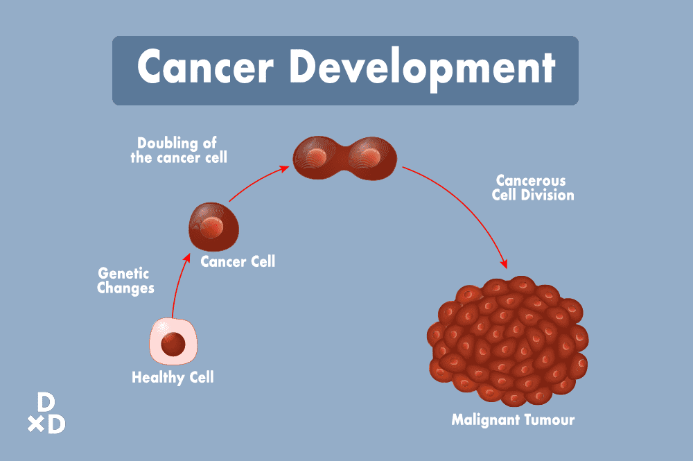 Cancer development