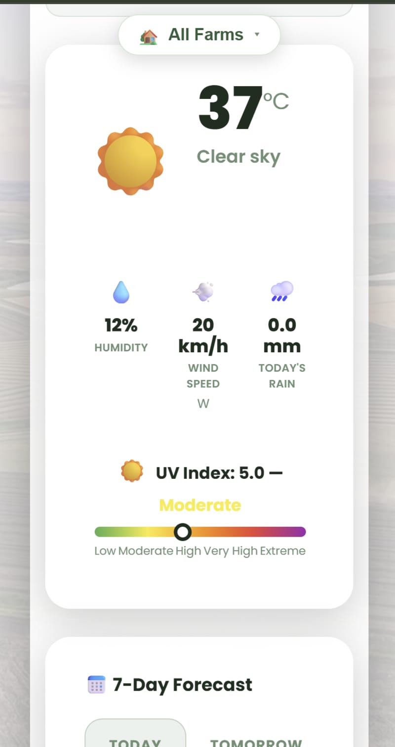 Weather