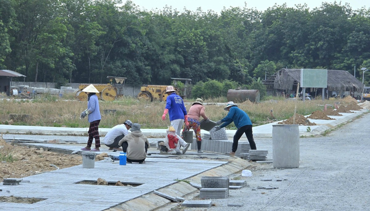 Xây dựng Haven Living