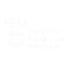 FEM