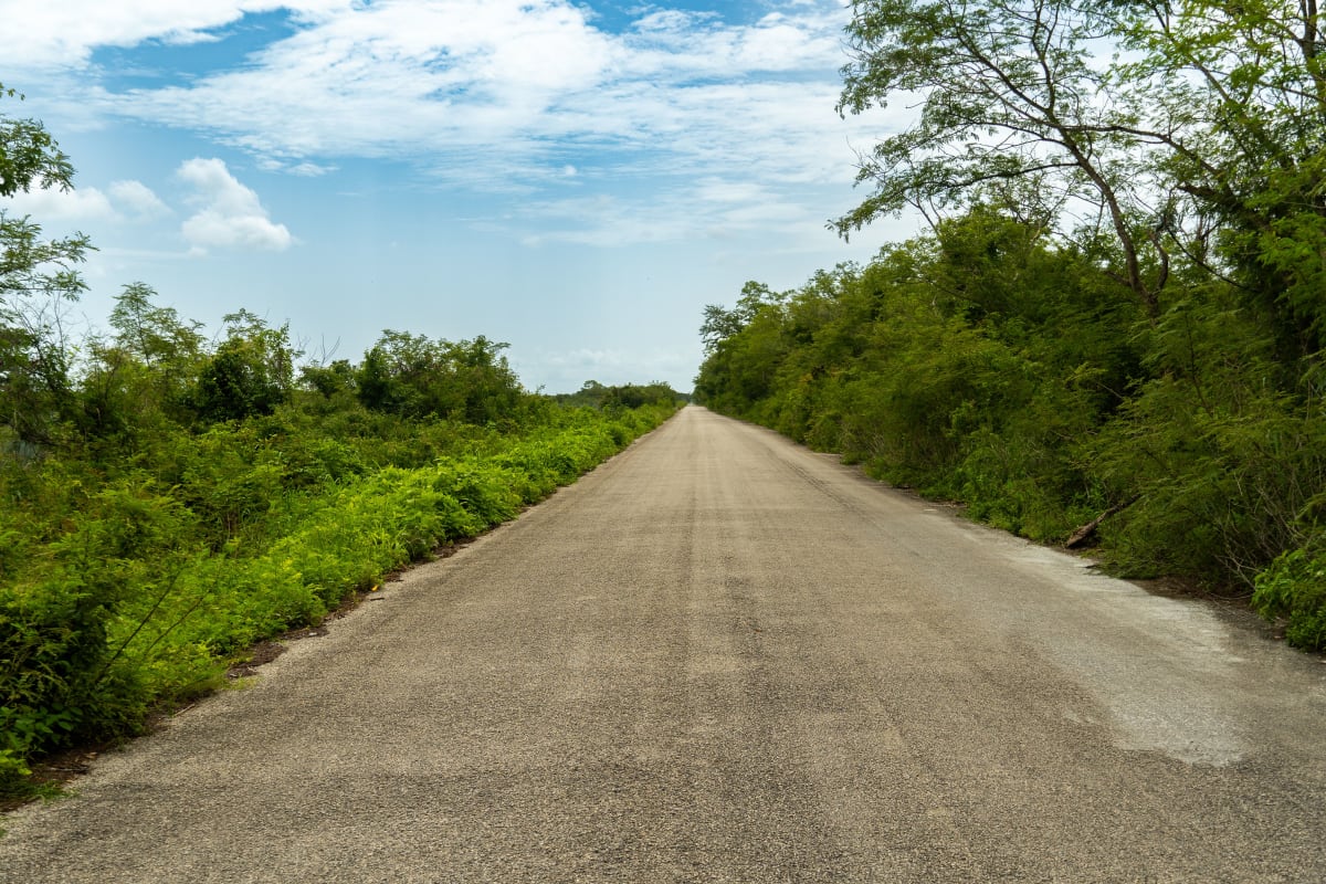 Quiet paved country road through green scrub forest in Yucatan state