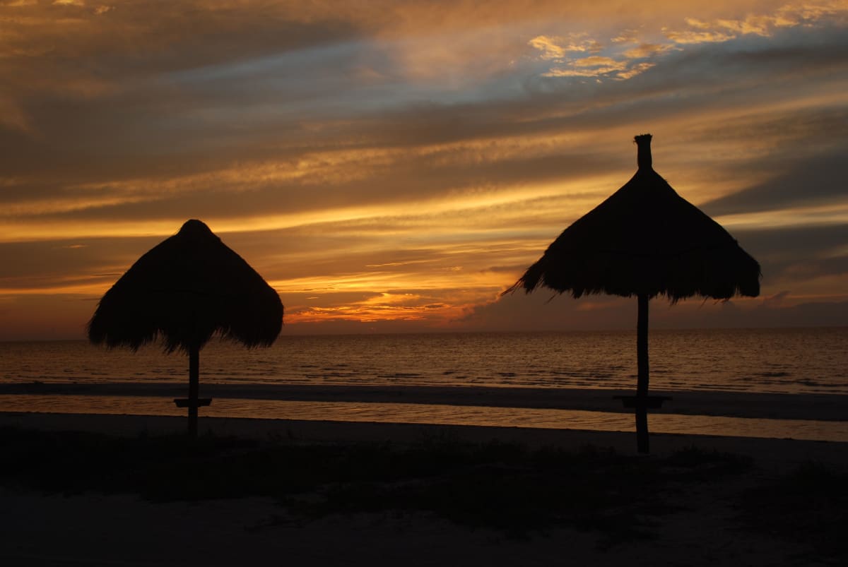 Sunset on a tropical Mexican beach with orange sky and palm tree silhouettes