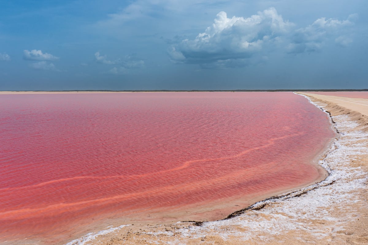 Close view of a deep pink salt evaporation pond with a white salt crust on its bank under a blue sky