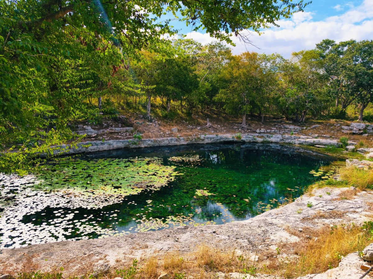 Xlakah cenote at Dzibilchaltún near Mérida, Yucatán, with water lilies