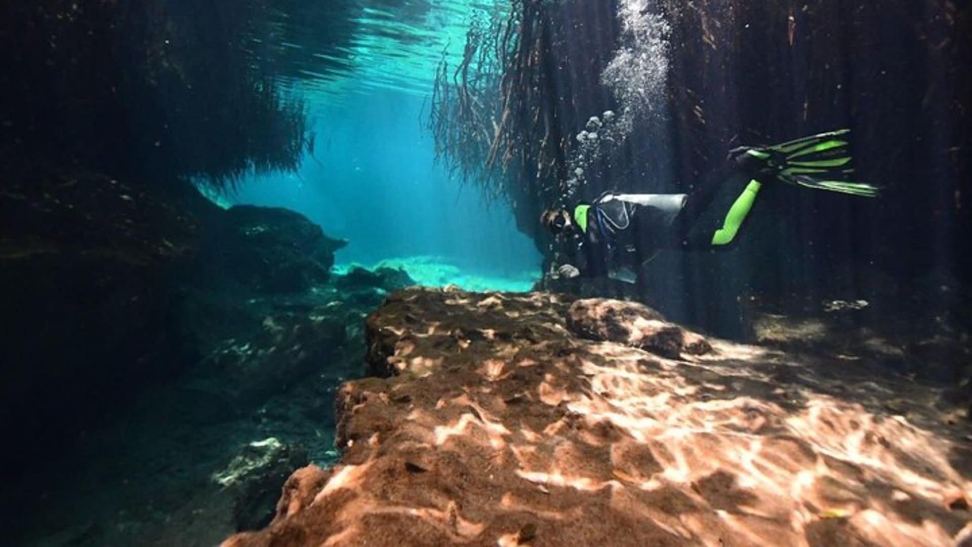 Discover Scuba Diving in Tulum