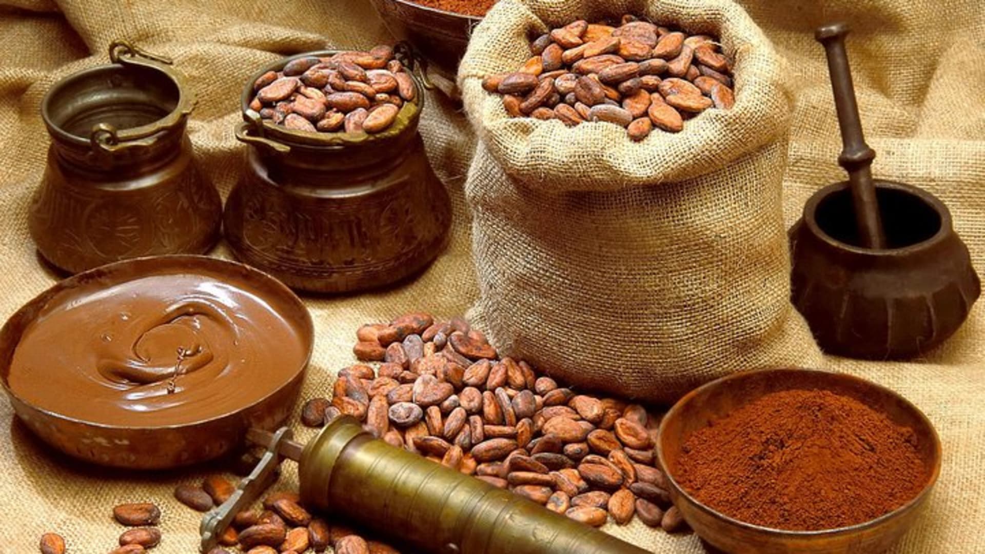 Quintana Roo 5 hours Chocolate Maya Ceremony and Temazcal Maya Ritual Tour