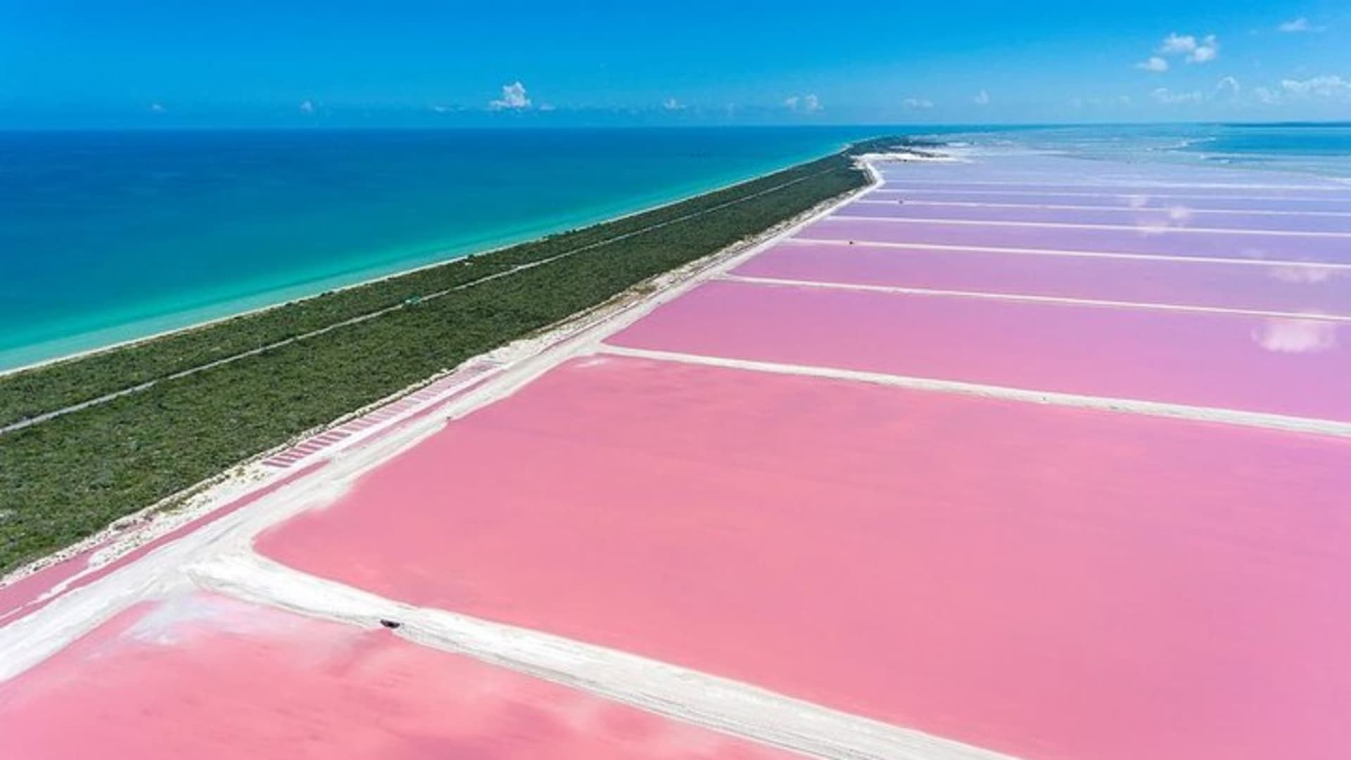 Pink Waters of Las Coloradas, Pink Flamingos and Colonial City of Valladolid with Photographer