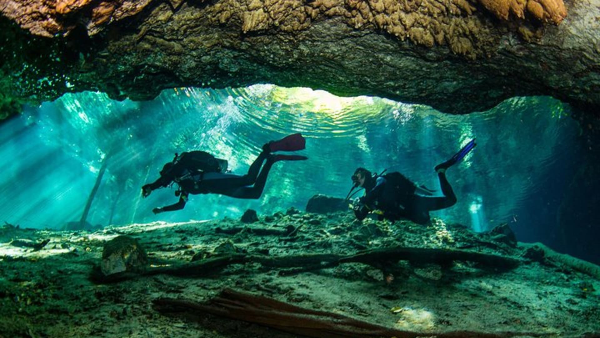 Go for 2 dives in cenote Dos ojos for certified divers