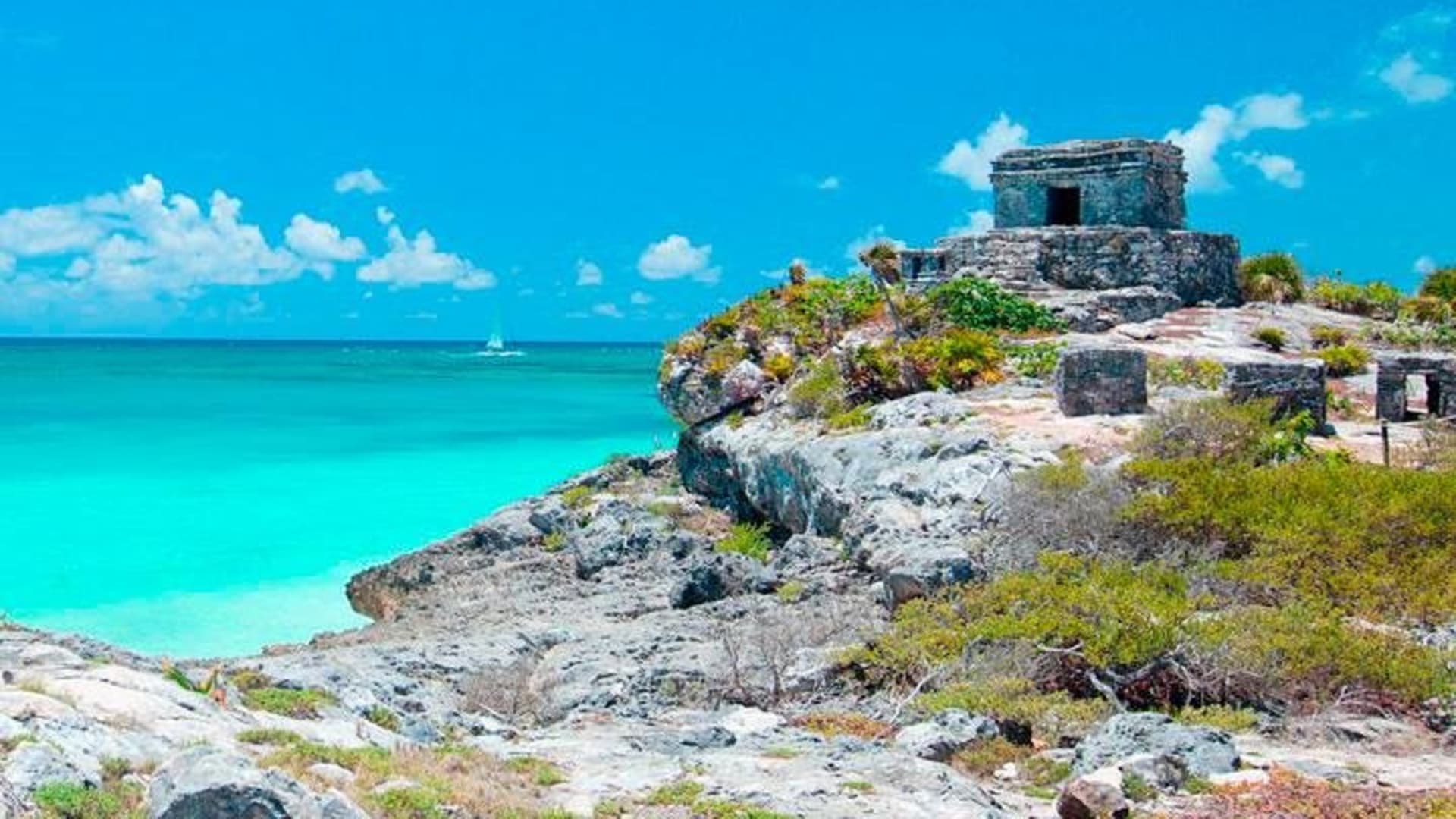 Amazing Tour 4X1 to Coba, Tulum, Cenote & Playa del Carmen
