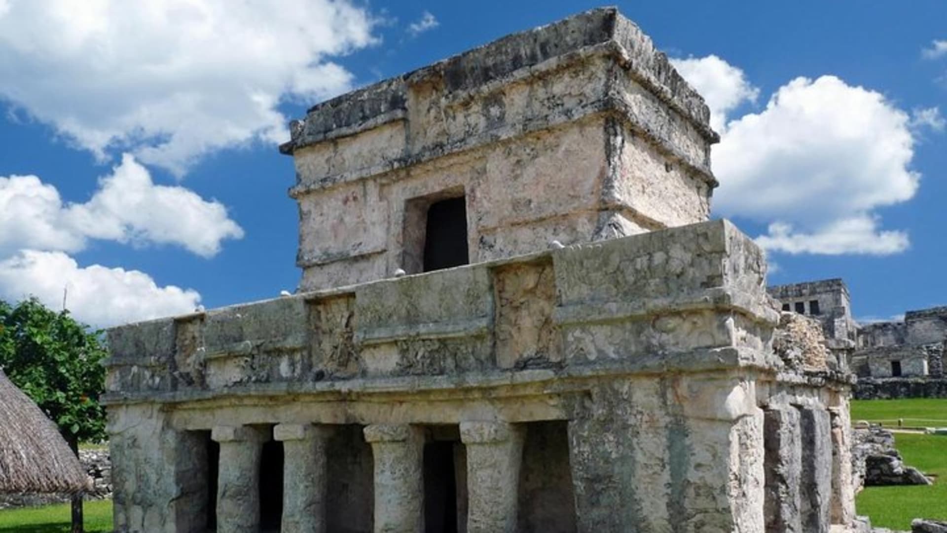 Private Tour: Tulum swimming with turtles and wild cenote in jungle