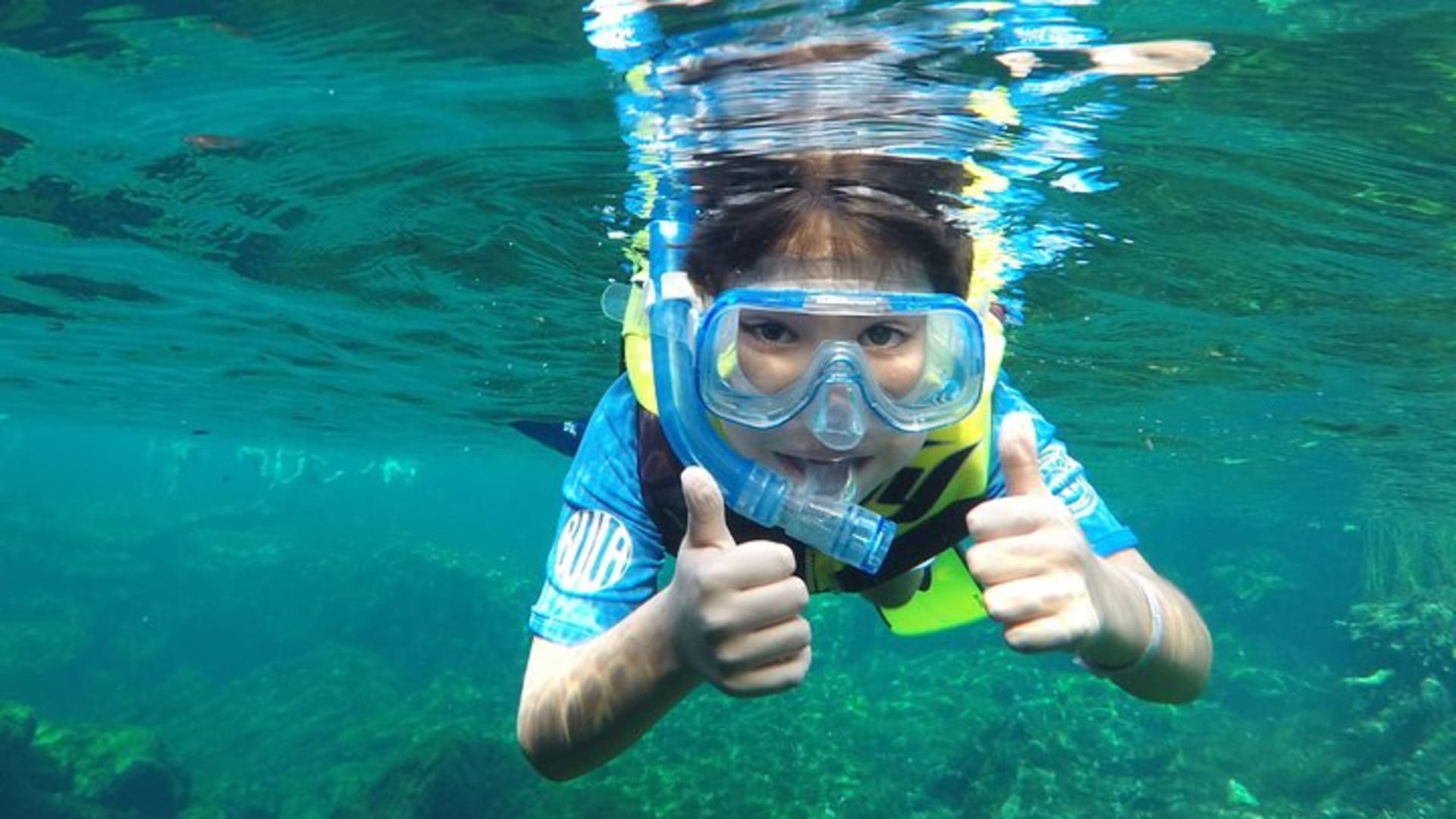 Tour privado VIP de cenotes