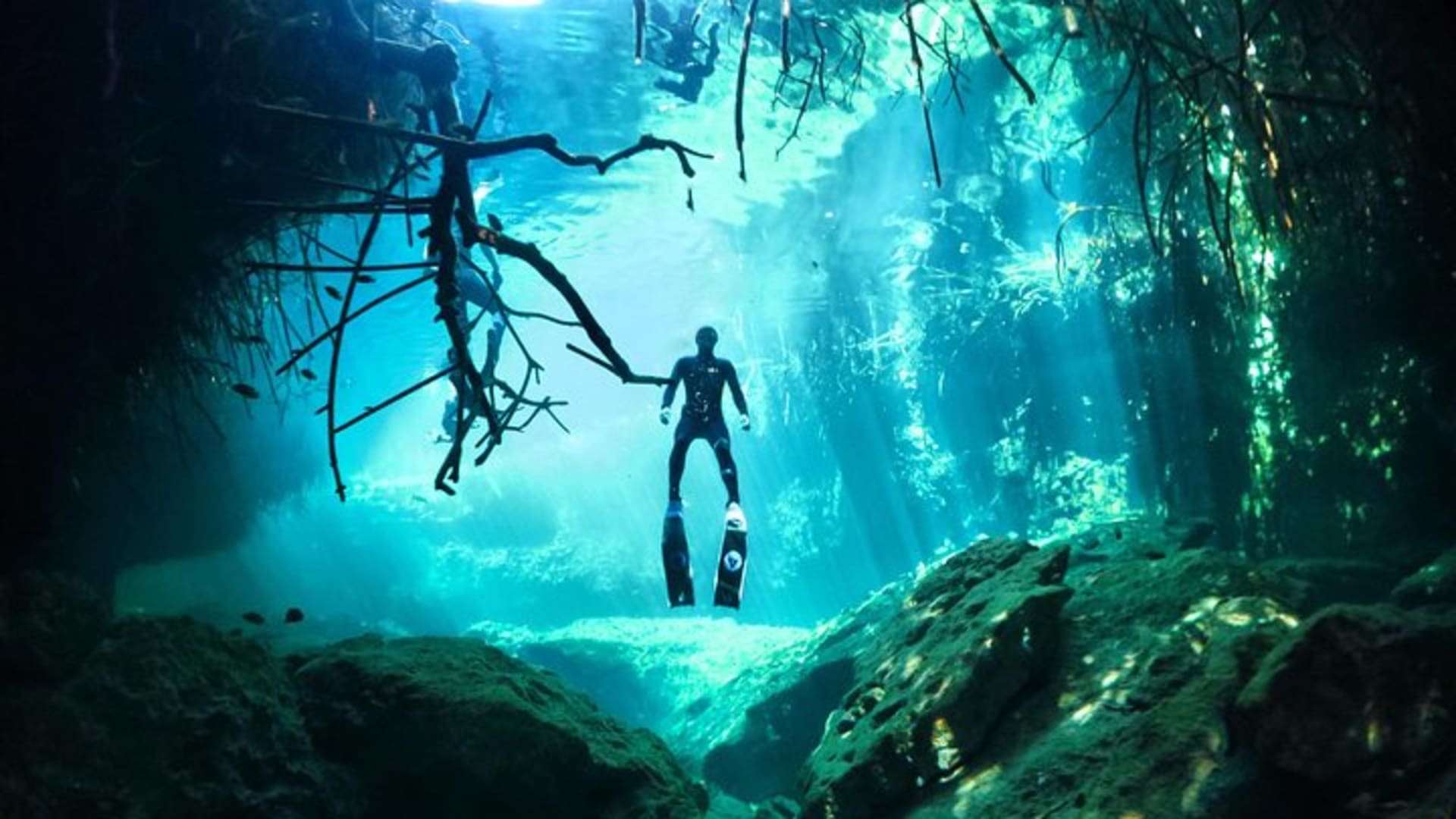Freediving Discovery day in Tulum!