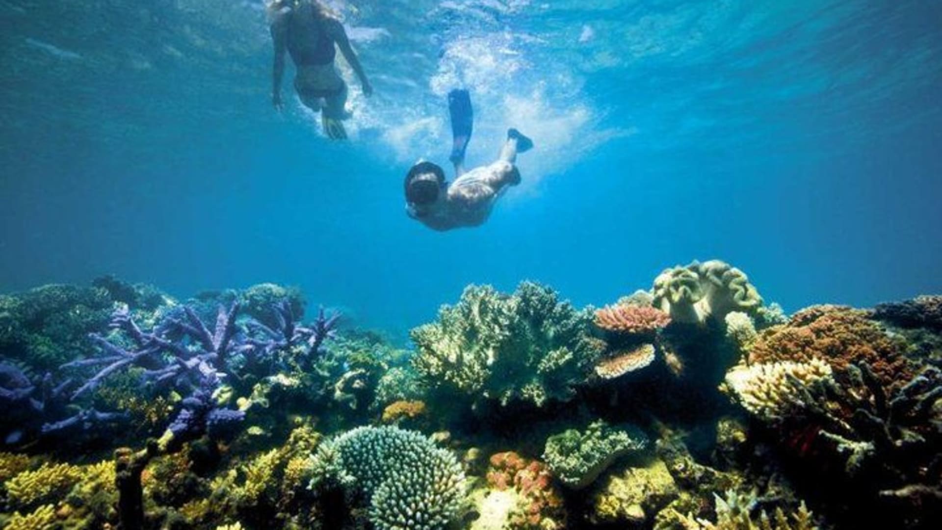 Cozumel Adventure
