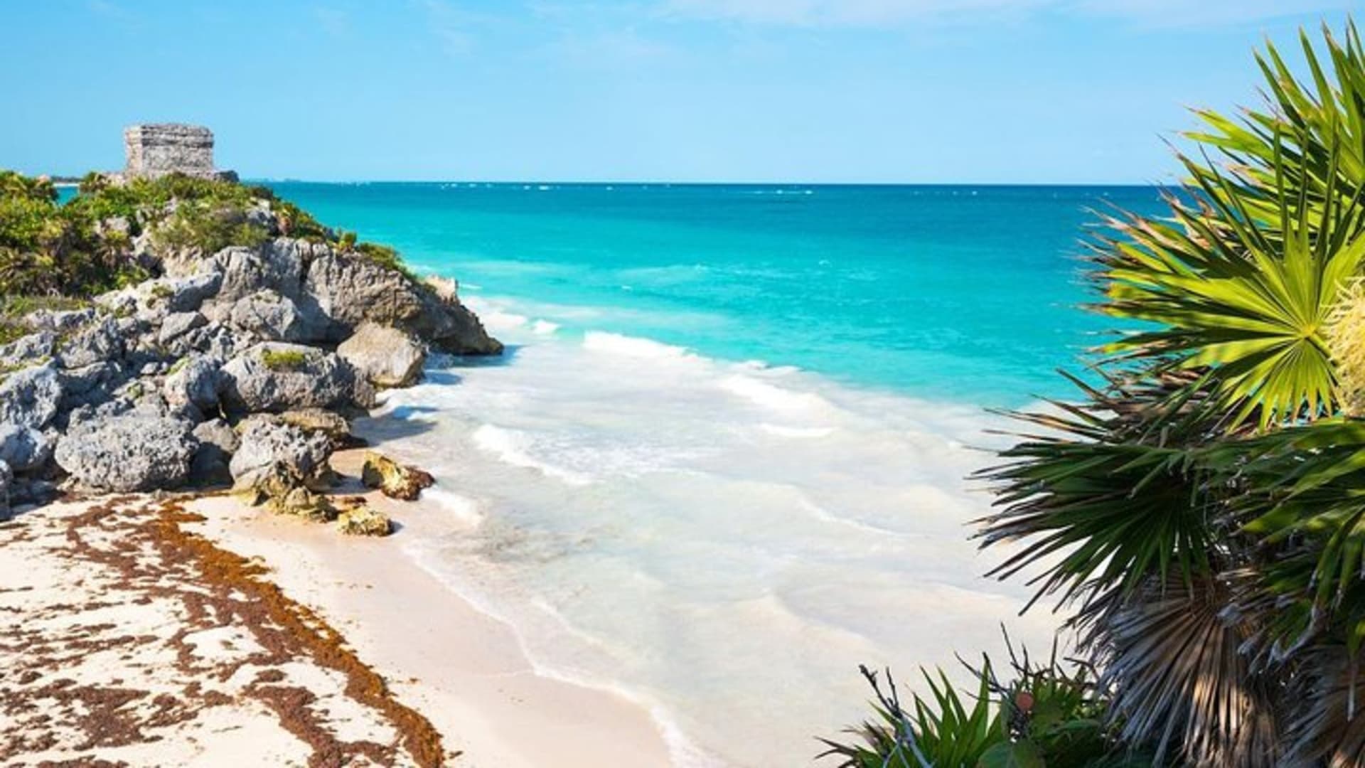 FANTASTIC 4X1 COMBO: Tulum Ruins, Coba Ruins and Mayan Cenote!