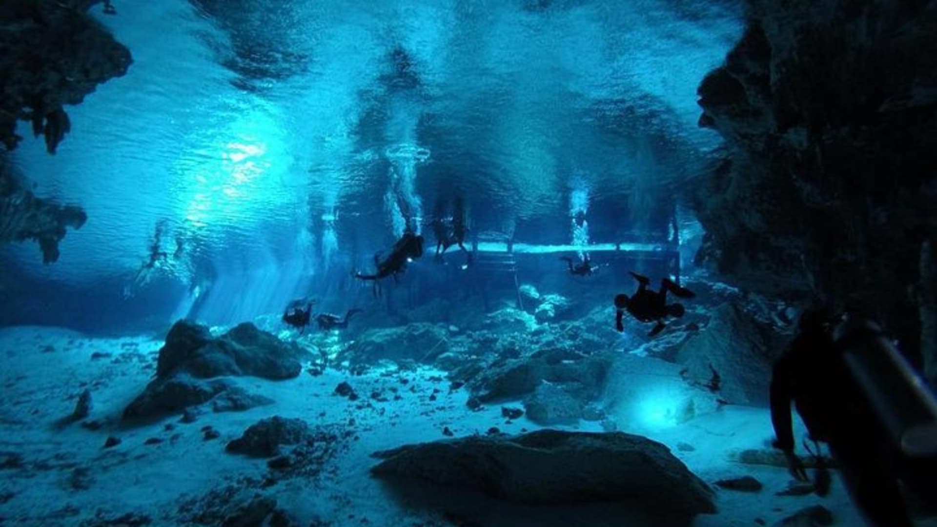 Dos Ojos Cenote Cavern Dive- The Barbie Line and The Bat Cave