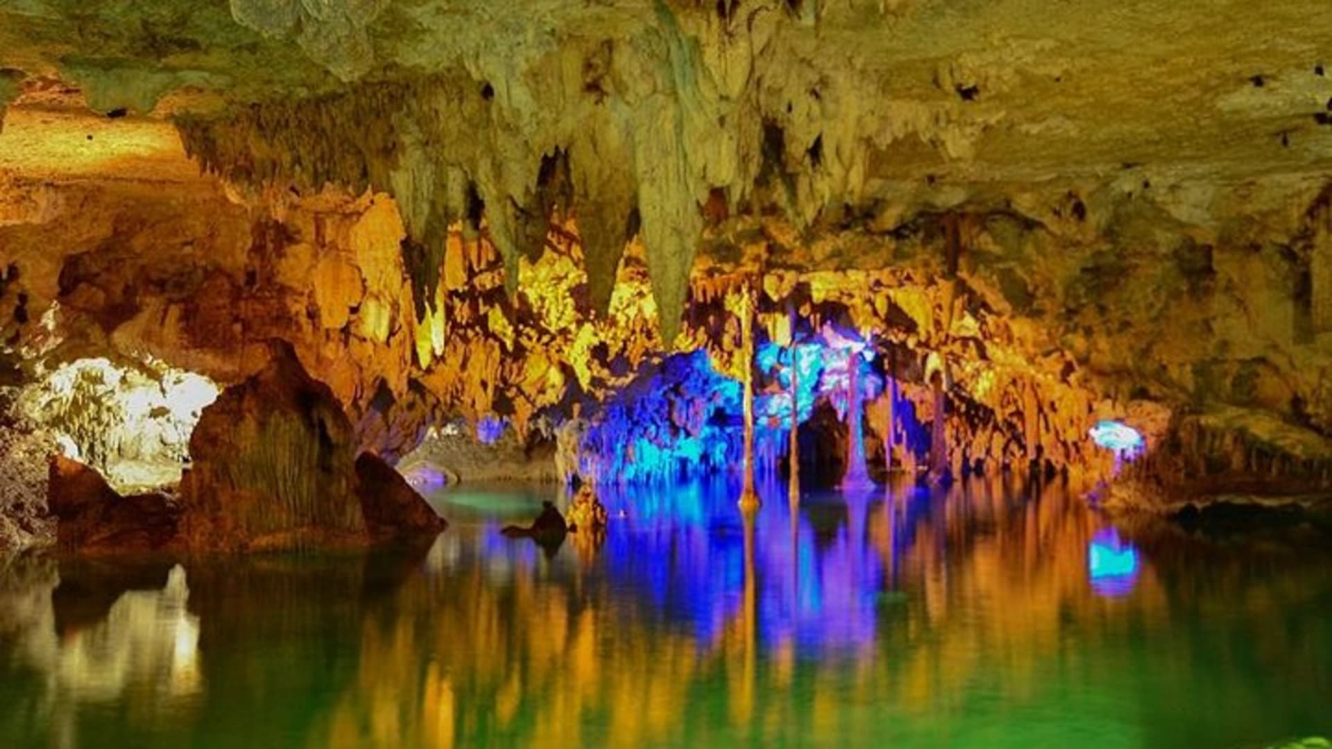 Turtles and Cenote from Riviera Maya