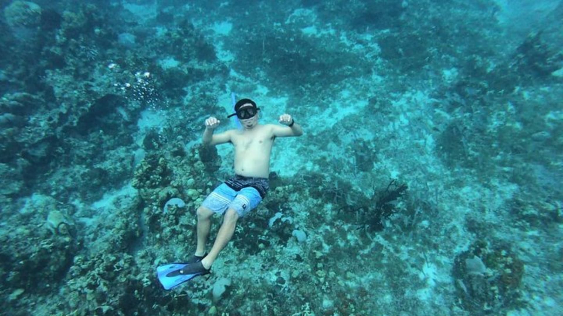 Amazing Snorkel at Cozumel Reef! Round Transportation from Tulum