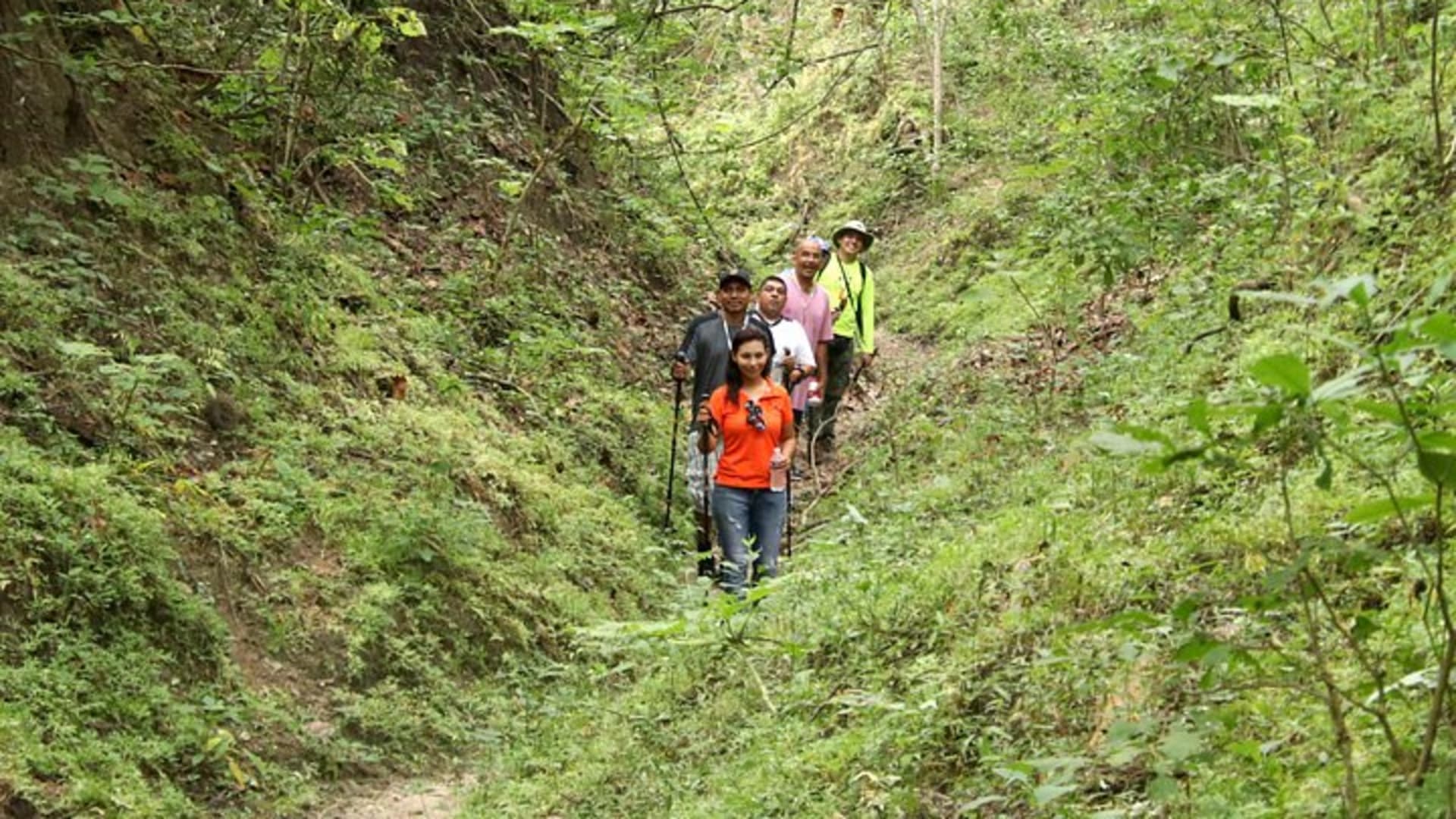 Tour de caminata por la selva