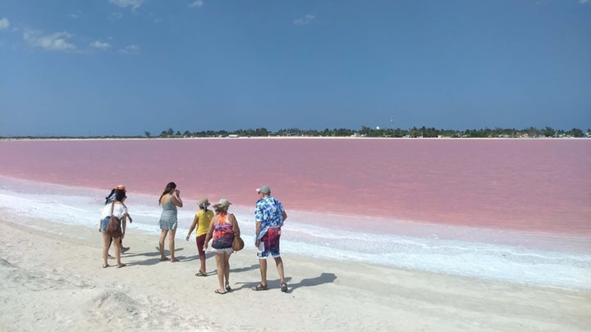 Full-Day Tour to Las Coloradas Pink Paradise in Yucatan and Rio Lagartos.