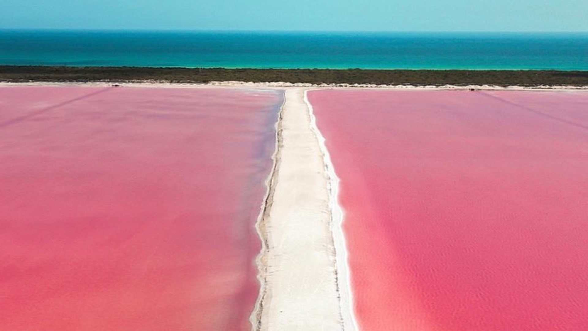 Discover the FABULOUS PINK WATERS in the Caribean