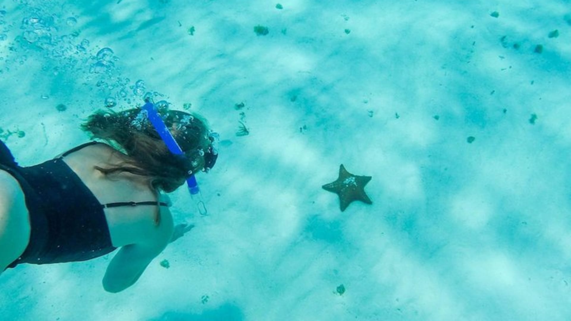 El Cielo Cozumel, a paradisiacal tour. Be amazed by the stars near to you.