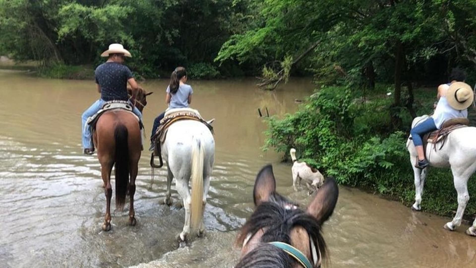 Expérience d'équitation dans les montagnes de la Sierra Madre