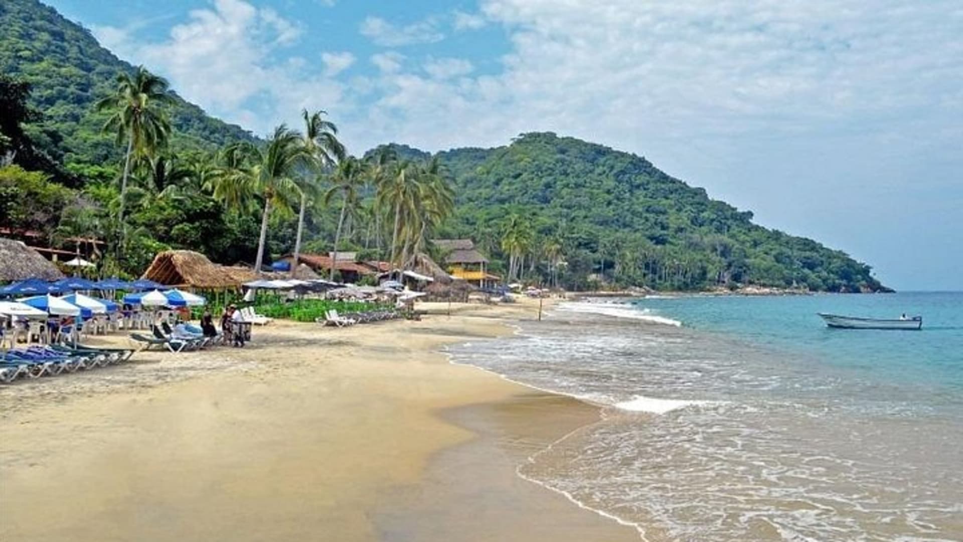 Expérience privée de snorkeling et excursion en bateau à la plage de Las Animas