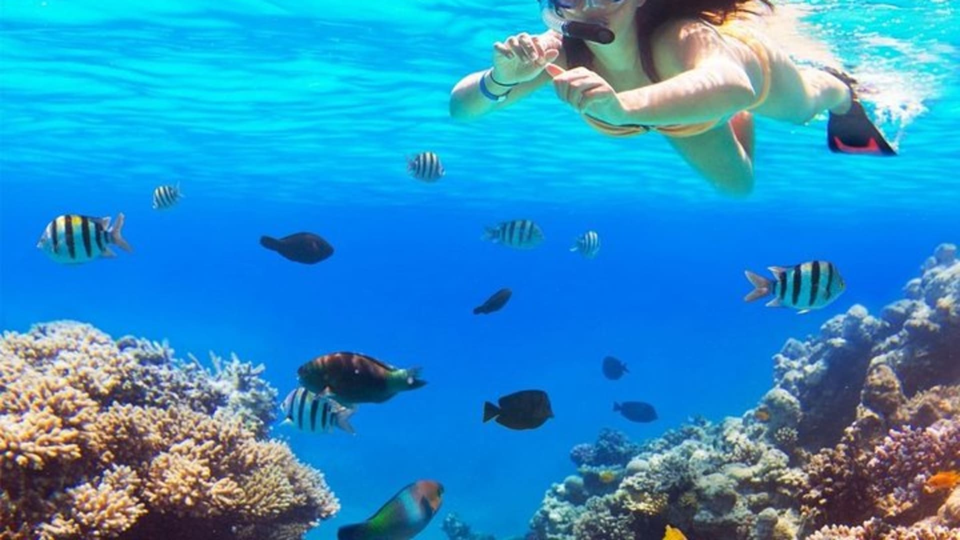 Live this unique snorkeling experience. El Cielo in Cozumel a magical tour.