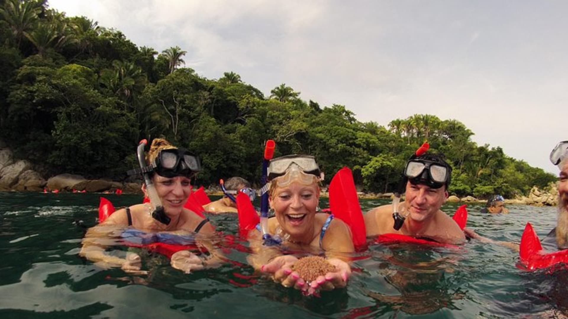 Excursion privée de snorkeling et de plage aux Los Arcos depuis Puerto Vallarta