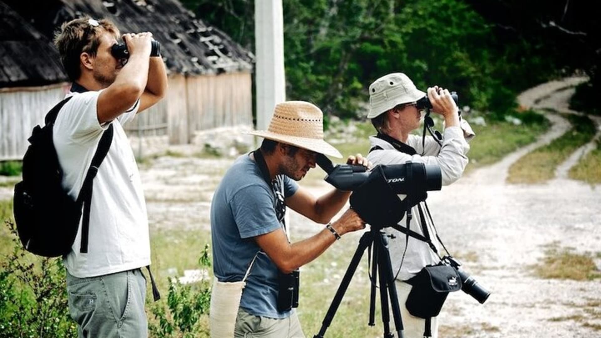 Birdwatching in Sian Ka´an Muyil from Tulum - Shared Group Tour