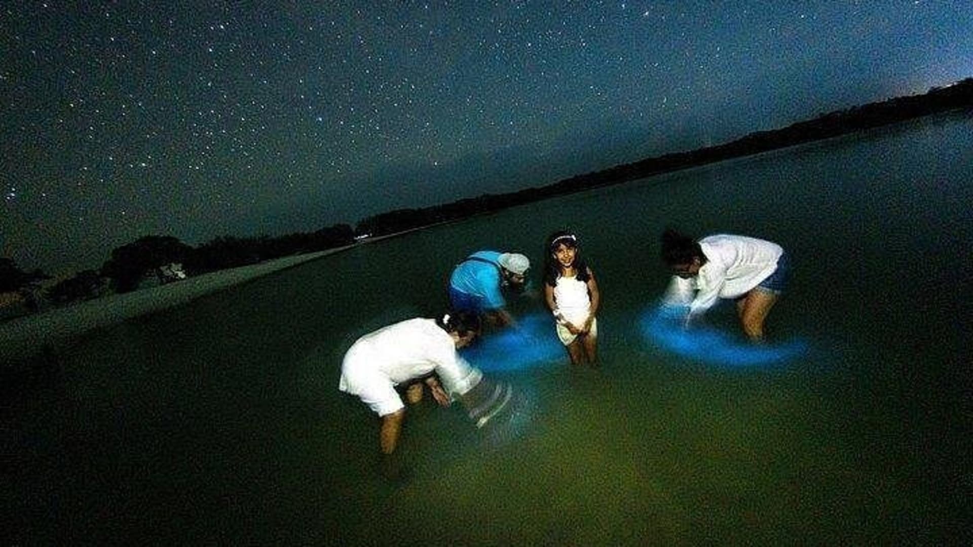 Bioluminescence Tour by Car at Holbox