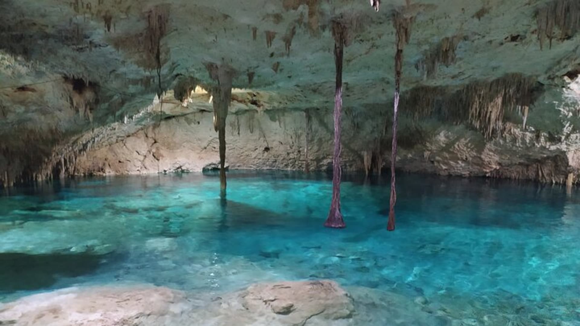 Excursion privée dans les cénotes