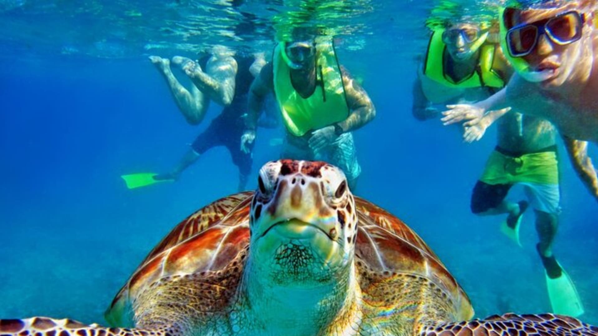 Tulum Mayan Ruins and Snorkeling with Turtles at Akumal
