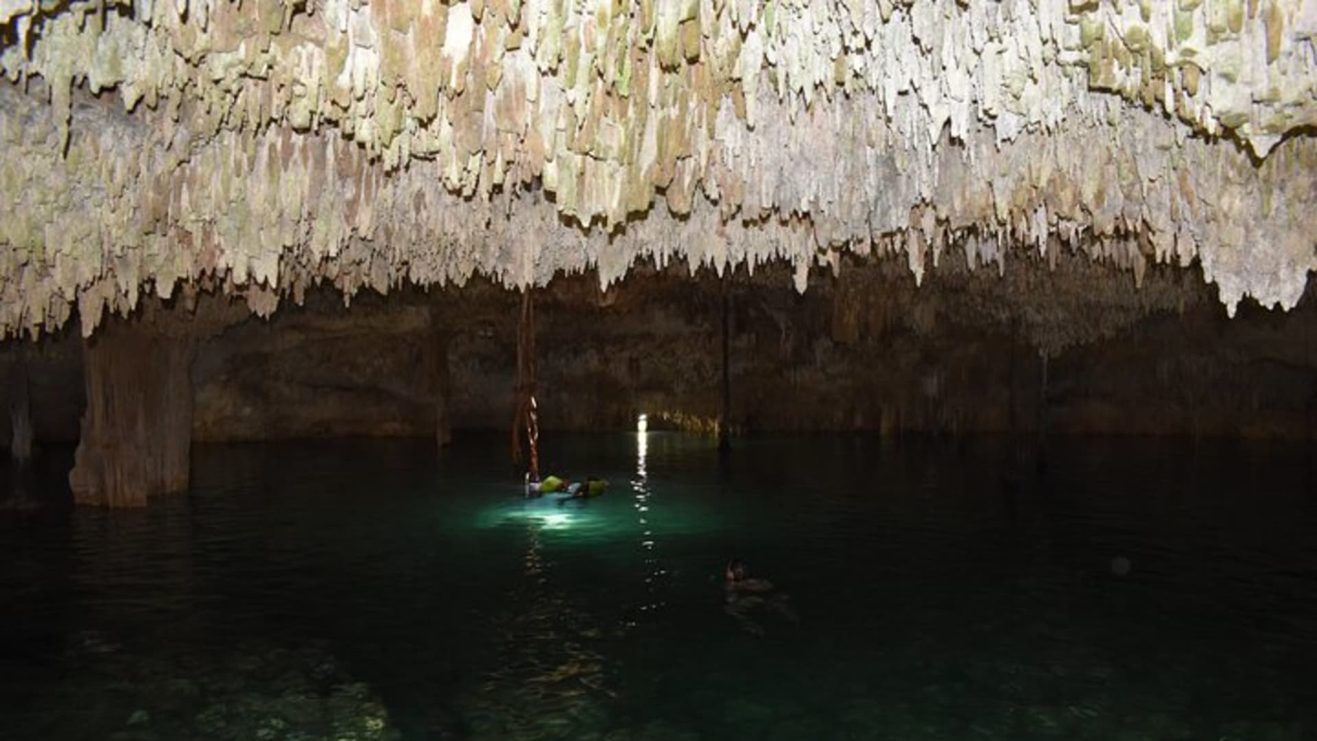 Cancun: Discover the Hidden Treasures: Exploring 3 Jungle Cenotes