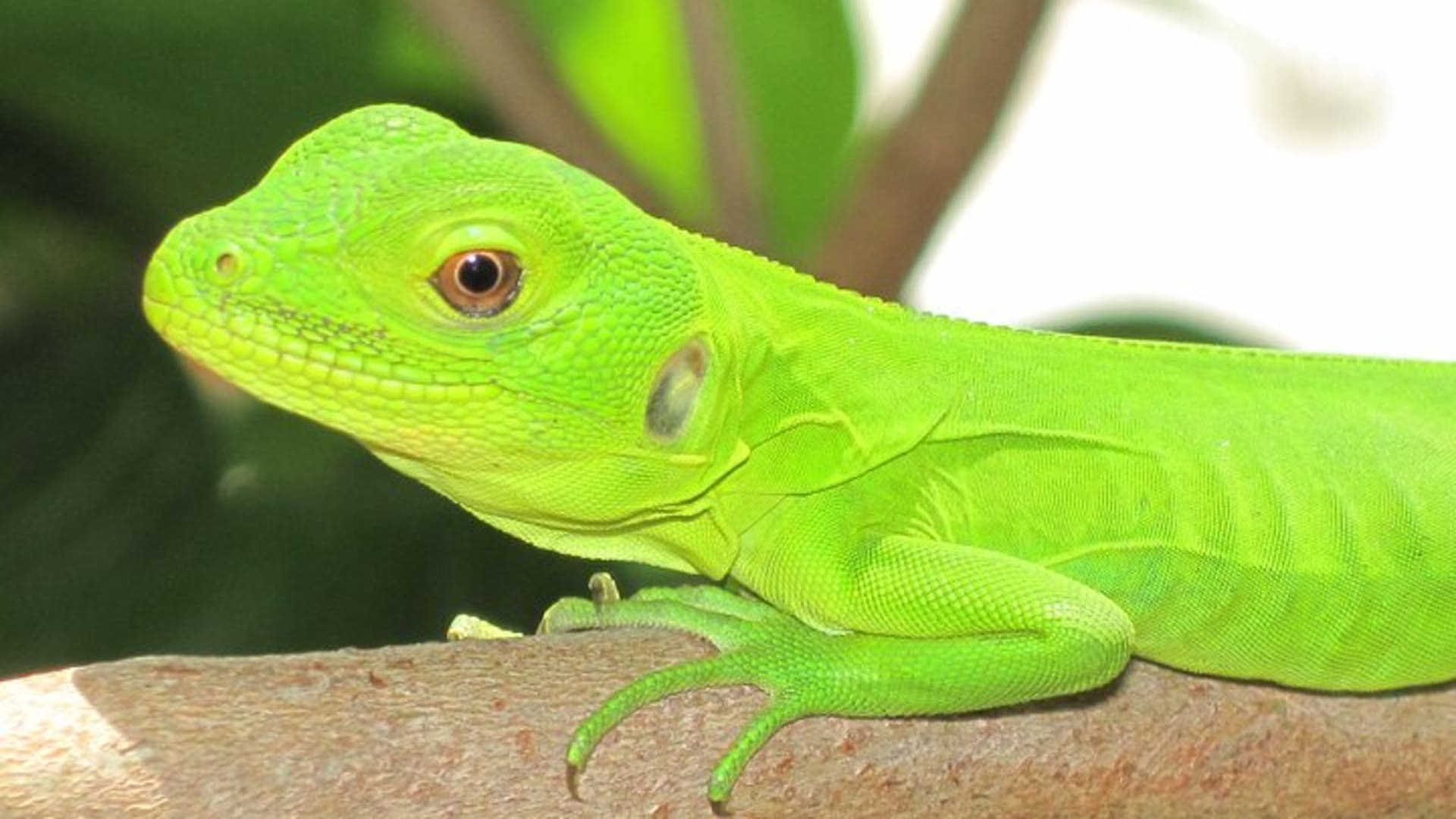 Wildlife Eco Tour on the coast of Oaxaca.