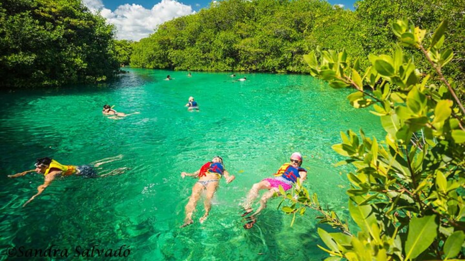 Tulum Area Experiences Guided Scooter Tour Snorkel/Swim Casa Cenote & Lunch
