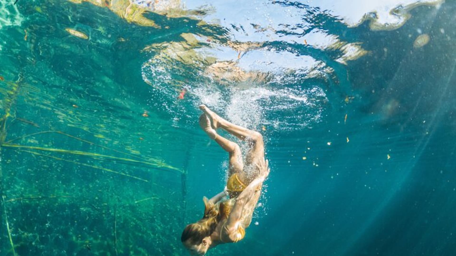 SUPER Tour Kaan Luum Lagoon, 2 different Cenotes. Lunch included