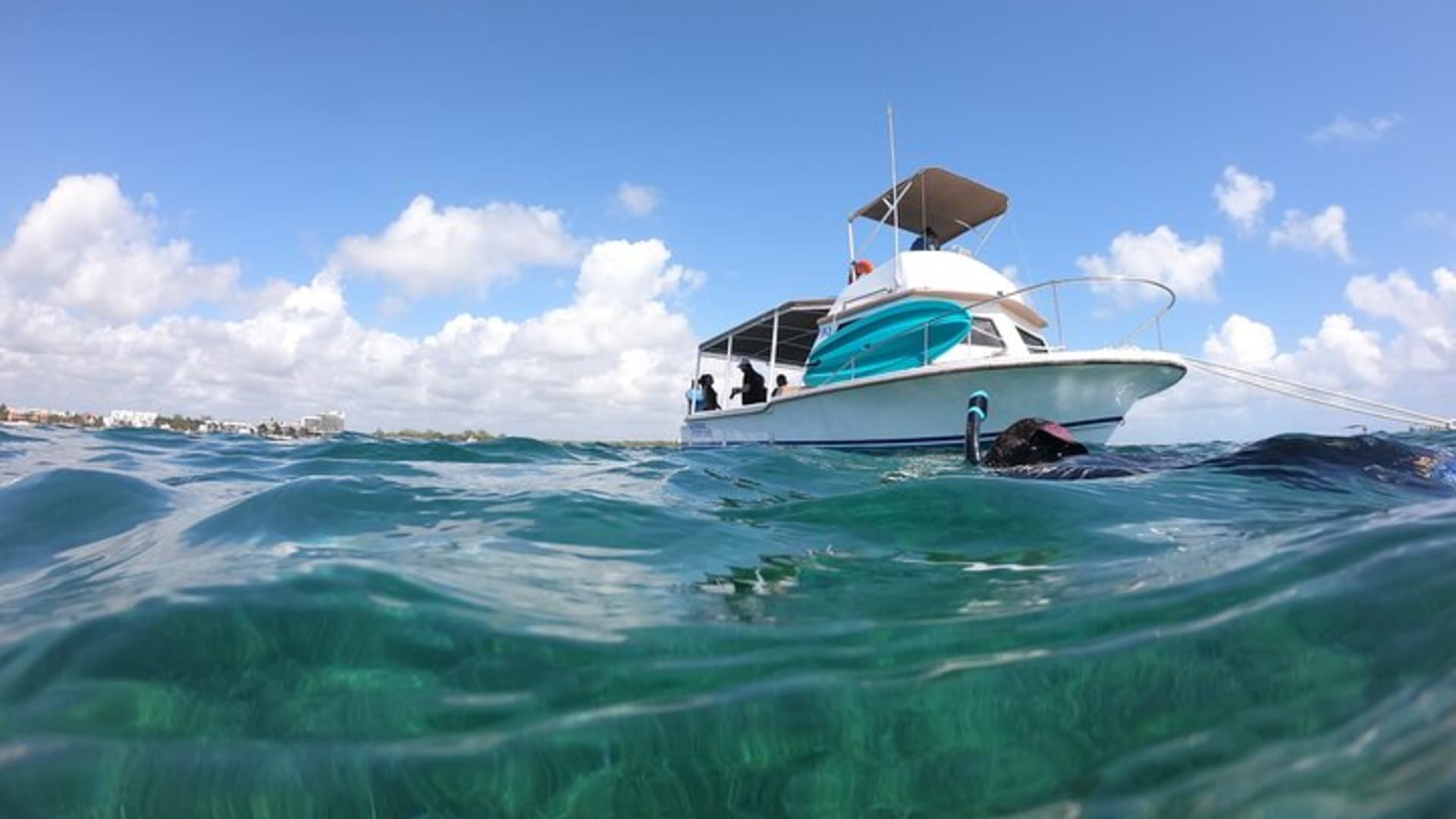 Snorkel in the beautiful reef of Puerto Morelos with transport