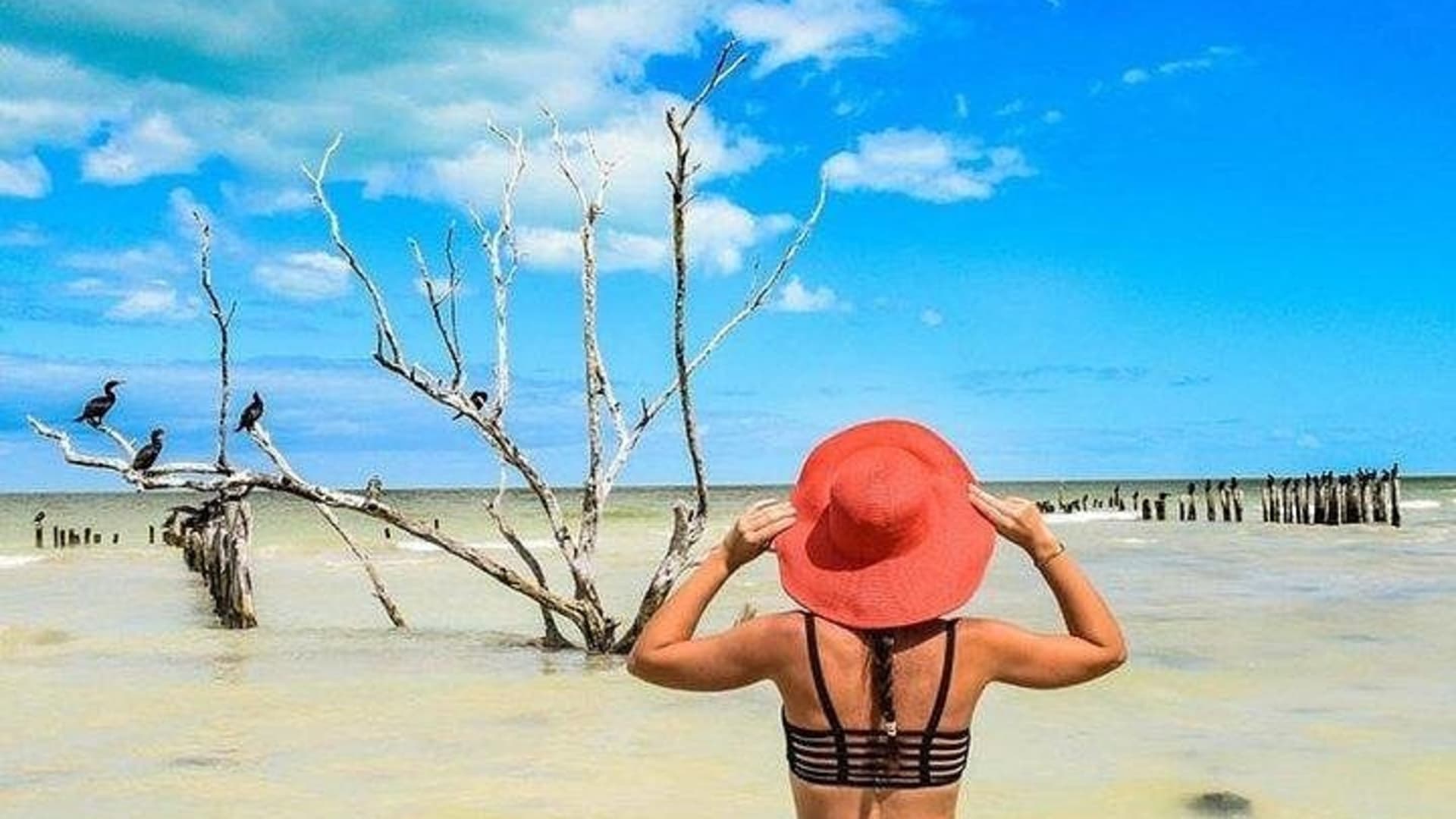 Incredible Holbox Island Tour Punta Mosquito only from Tulum